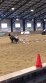 Horse Stops Abruptly While Jumping Hurdles Making Rider Fall to the Ground