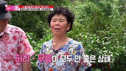 신 박사님이 추천하는 허리와 무릎에 좋은 습관↗ TV CHOSUN 20210919 방송
