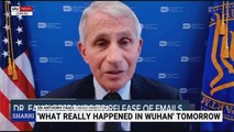 Fauci was ‘up to his neck’ funding coronavirus research in Wuhan
