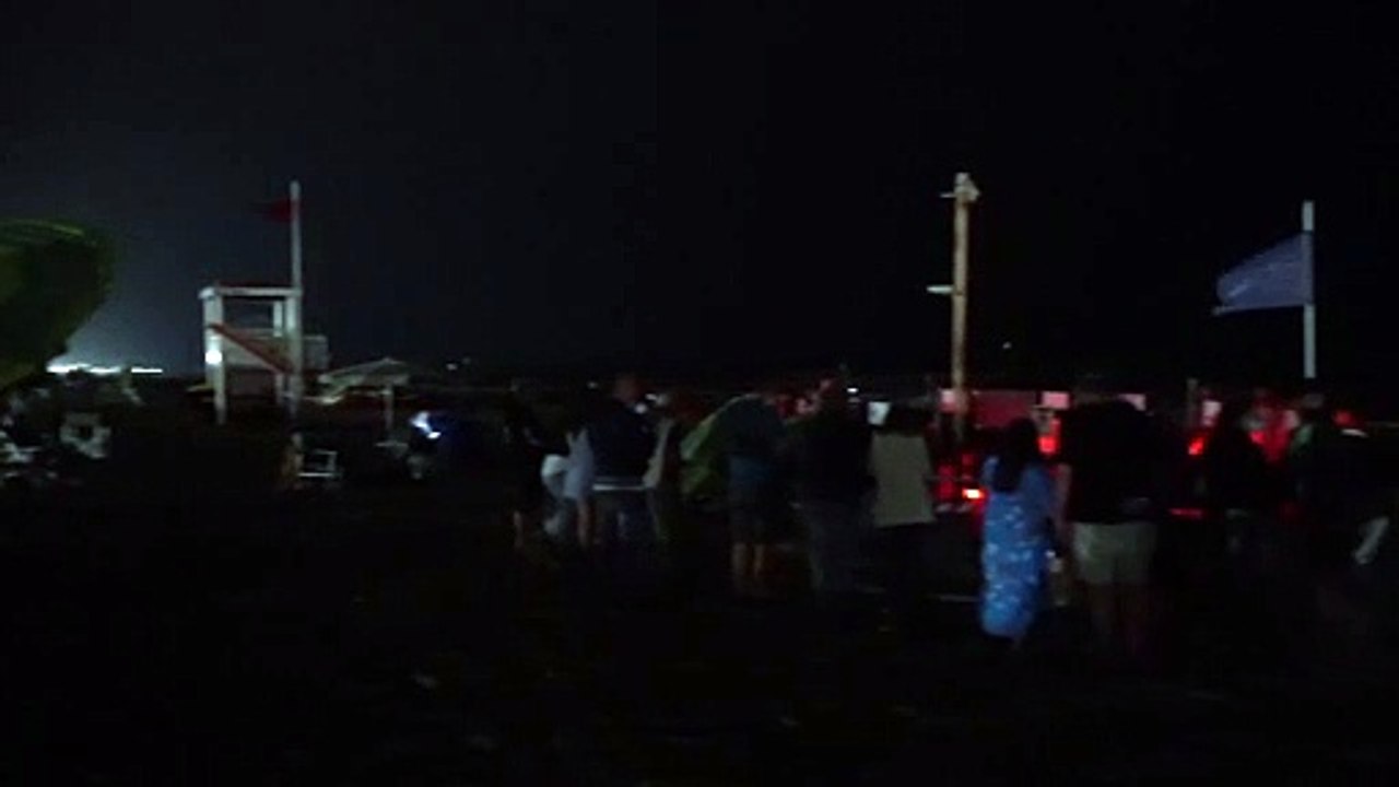 Tartarughe caretta caretta a Jesolo