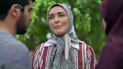 ڈرامہ سیریل - باپ، (نمبر 15)