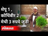 पालेभाज्यांचे दर कोसळले, शेतकरी चिंतेत | Prices of Leafy Vegetables Plummeted | Maharashtra News