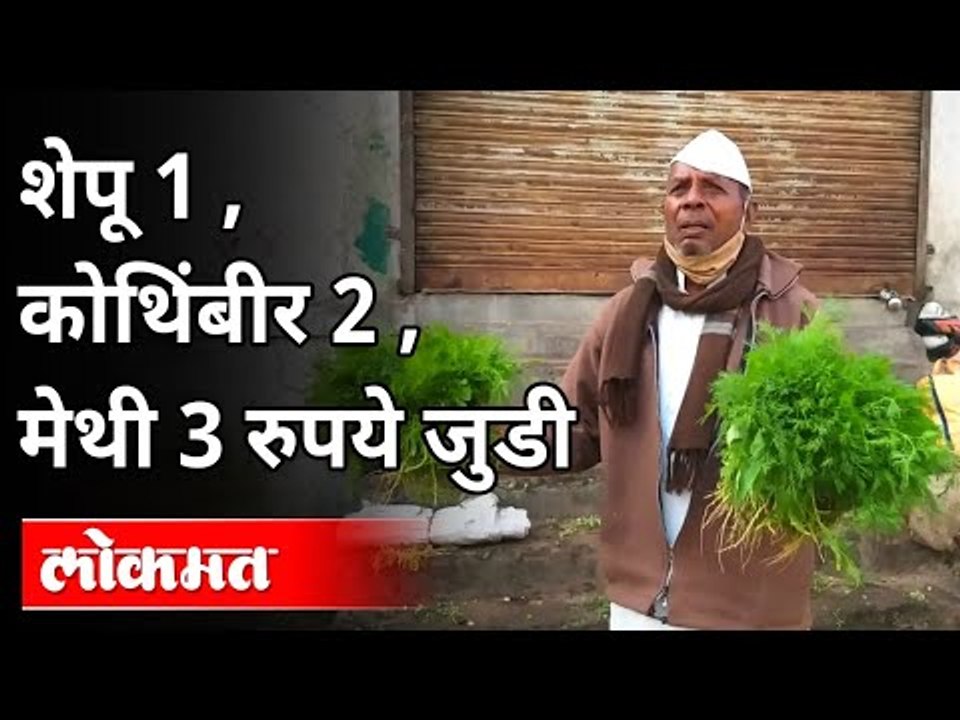 पालेभाज्यांचे दर कोसळले, शेतकरी चिंतेत | Prices of Leafy Vegetables Plummeted | Maharashtra News