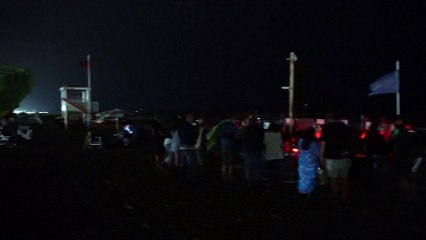 Nacen 9 tortugas bobas en la playas del Jésolo, en el Véneto