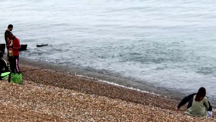 Mackerel chasing Whitebait/Sprats onto a St Leonards beach Sept 19 2021