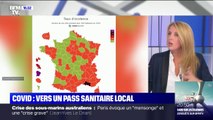 À quoi pourrait ressembler un pass sanitaire local ?