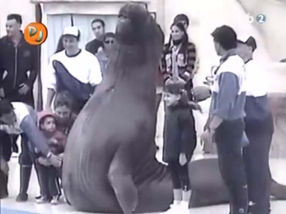 Videomatch Bienvenido a la Argentina 003