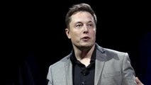 Elon Musk Again SHIBA INU Trading Volume Jumps 1101% After Tesla CEO
