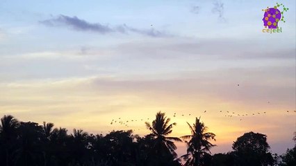 intro-logo-15-min-20210914-231134