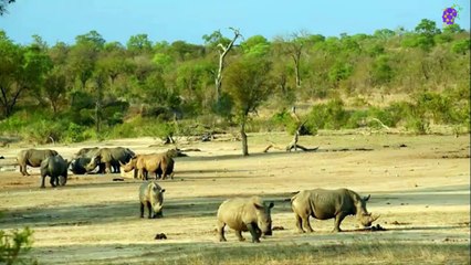 intro-logo-15-min-20210914-231527