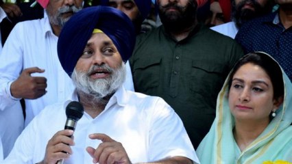 Will Punjab Congress infight benefit Akali Dal?