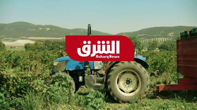 مقابلة خاصة مع نيفين جامع وزيرة التجارة والصناعة المصرية