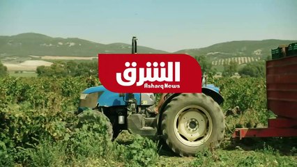 مقابلة خاصة مع نيفين جامع وزيرة التجارة والصناعة المصرية