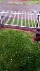 Chuva de granizo em Curitibanos neste domingo (19)