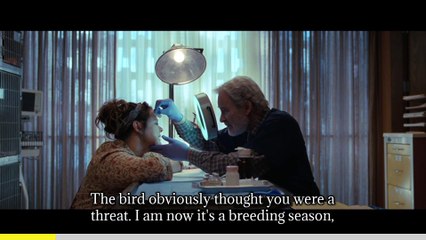 The Starling: Step Three  (Captioned)