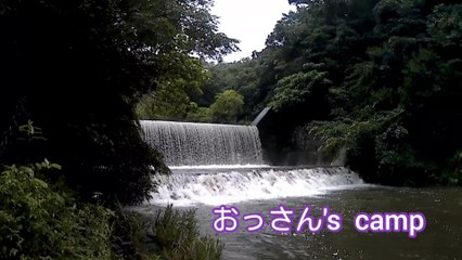雨の中のソロ