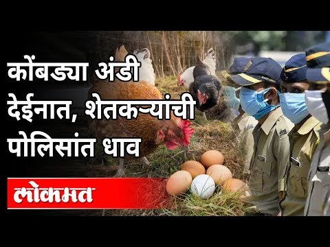 खाद्य कंपनीवर आरोप,पोलीस तपास सुरू | Loni Kalbhor | Pune News