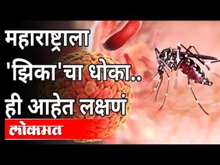 महाराष्ट्राला 'झिका' व्हायरसचा धोका आणि त्याची लक्षणे काय आहेत? Zika Virus Symptoms In Maharashtra