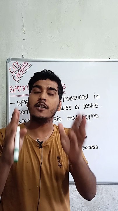 Spermatogenesis | spermatogenesis in Hindi | spermatogenesis biology #cityclasses