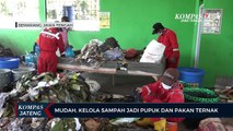 Mudah, Kelola Sampah jadi Pupuk dan Pakan Ternak