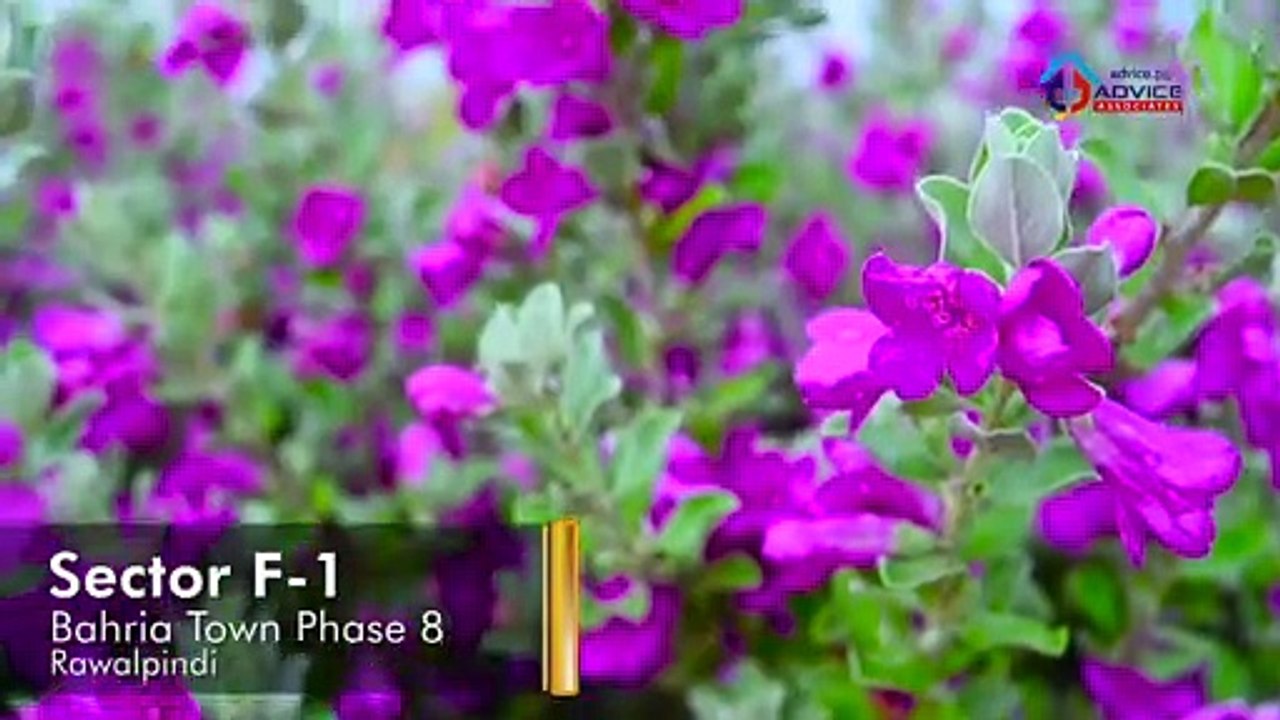 Bahria Town Phase 8 F1 Block | 10 & 20 Marla Plot for Sale in Bahria Town Phase 8 | Advice.pk