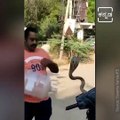 Rescue Of A Cobra Snake Stuck In A Motorcycle Has Now Gone Viral.