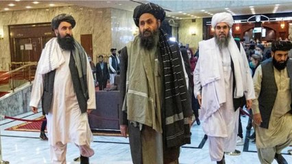 Haqqani network Vs Baradar group: All you need to know