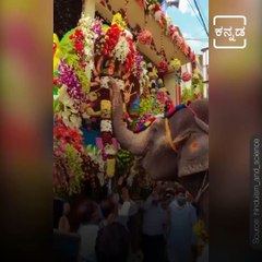 This Elephant Praying To A  Goddess Has Netizens In Awe.
