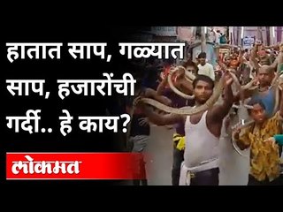 हातात साप, गळ्यात साप, हजारोंची गर्दी.. हे काय? Viral Video | Snake In Hand, Snake In Neck