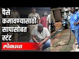 सापाशी स्टंट करणाऱ्याला अटक | वन खात्याने केली कारवाई | Kalyan Dombivli | Maharashtra News