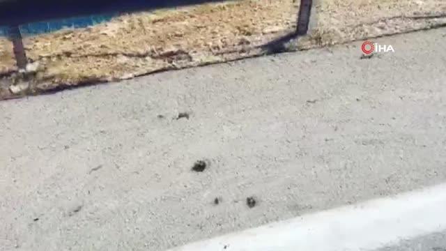 Kırık cam şişeleri bisiklet tutkunlarını böyle isyan ettirdi: Hepinizi toplasam bir adamın tırnağı etmezsiniz