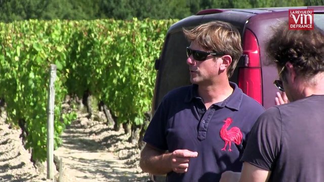 À Montlouis-sur-Loire, une vraie dynamique d'accueil des néo-vignerons