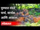 पुण्यात रमले पार्थ, सार्थक आणि आकाश | Rajiv Gandhi Zoological Park Pune |  Pune News
