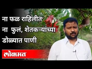 फळ राहिलीत ना फुलं, शेतकऱ्यांच्या डोळ्यात पाणी | Tears In The Eyes Of Farmer | Maharashtra News