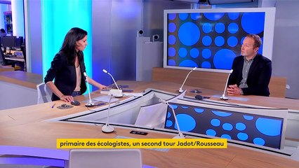 Primaire des écologistes : pour Tugdual Denis, directeur adjoint de la rédaction de Valeurs Actuelles, "Yannick Jadot a un profil plus réaliste"