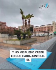 تجربة مثيرة.. شخص إسباني يستيقظ فاقد الذاكرة فيجد العالم كله اختفى!