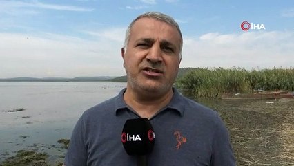 Uluabat'ta büyük tehlike! Çember daralıyor