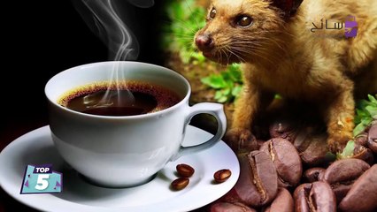 توب 5- أغلى 5 أنواع قهوة