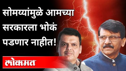 सोमय्यांवर Sanjay Raut म्हणाले, मुख्यमंत्री 'अशा' लहान गोष्टींमध्ये पडत नाहीत! | Devendra Fadnavis