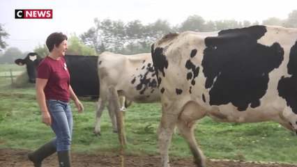 Les agriculteurs peinent à recruter