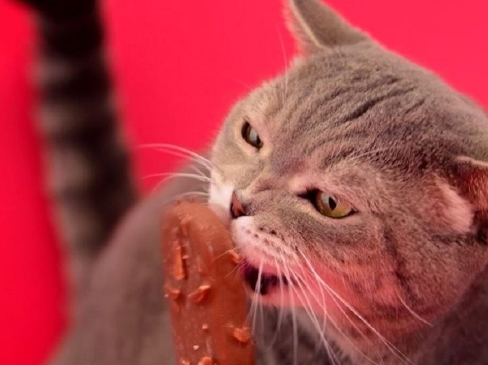 Diese Süßigkeit wurde zur Mogelpackung des Monats gekürt