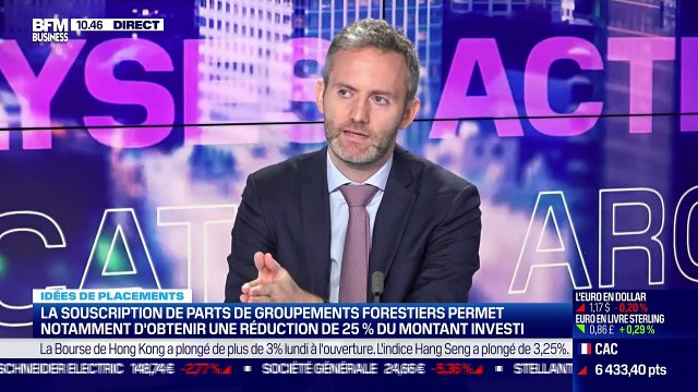 Idée de placements: Comment investir dans la forêt au travers d'un groupement foncier forestier ? - 20/09