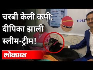 चरबी केली कमी; दीपिका झाली स्लीम ट्रीम! Dog Surgery | Pune News