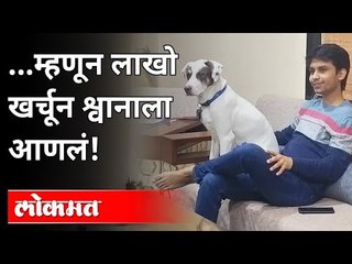 नाशिकमधील श्वान प्रेमीची अनोखी कथा | Cannine brought home after spending lakhs | Nashik Dog Story