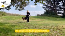 Meet Buster, Dogs Trust Shoreham Dog of the Week