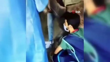 Daha önce sincap tedavi eden iş insanı, yaralı bulduğu eşeğe de duyarsız kalmadı