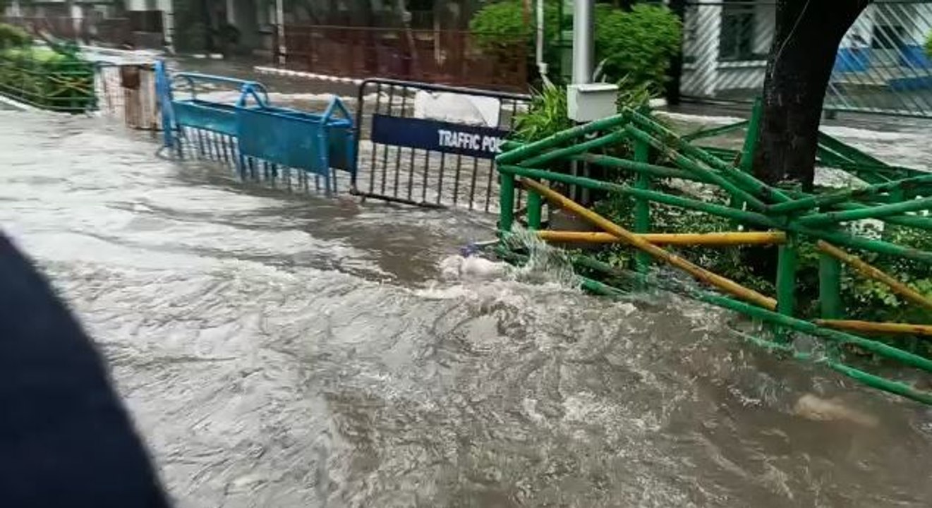 নিম্নচাপের বৃষ্টিতে জলমগ্ন রাসবিহারী এলাকা | Oneindia Bengali