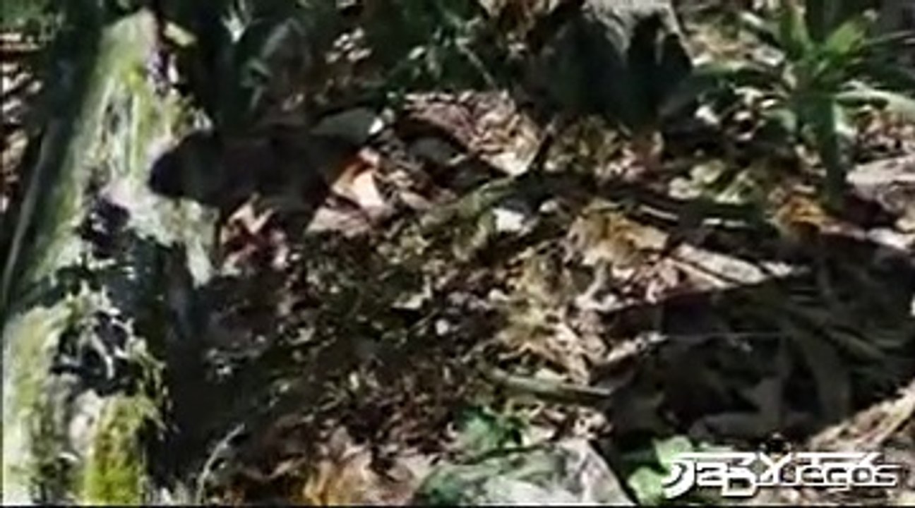Crysis GDC 2006