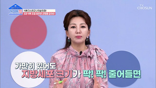 가만히 있어도 살이 찌지 않는 성분 함유된 ▶시서스◀ TV CHOSUN 202100920 방송