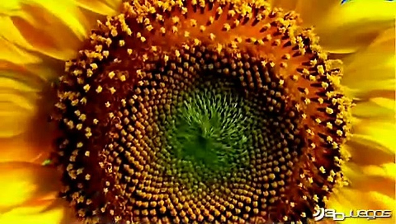 PlayStation 3: Formato Blu-Ray